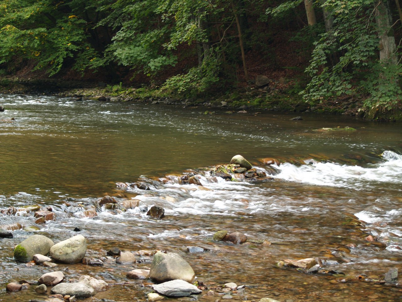 Divok� Orlice v okol� Pot�tejna