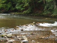 Divoká Orlice v okolí Potštejna