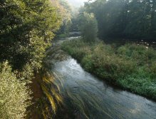 Divoká Orlice v okolí Potštejna