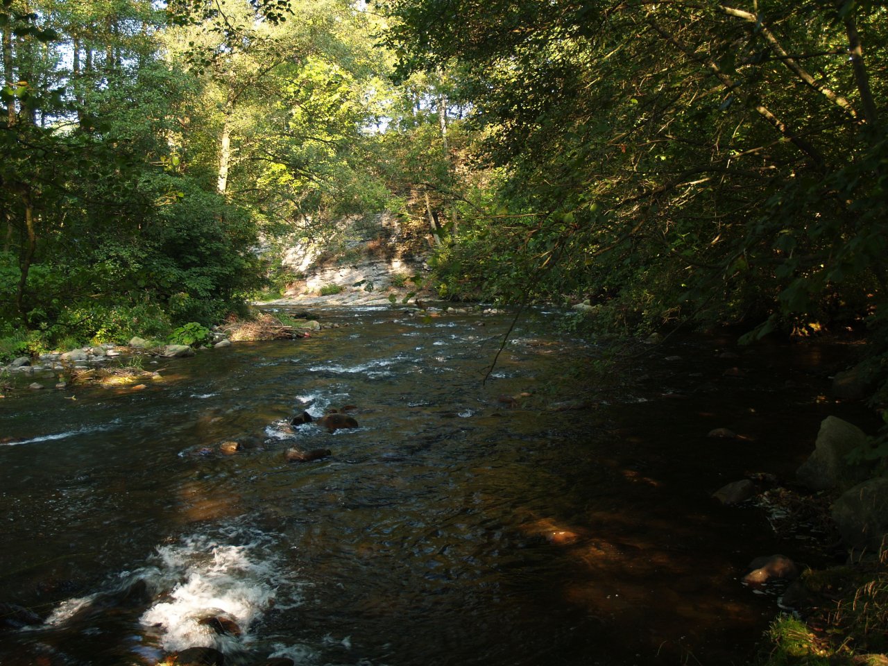 Divok� Orlice v okol� Pot�tejna