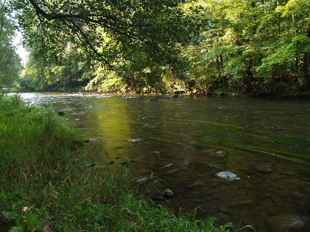 Divok� Orlice v okol� Pot�tejna