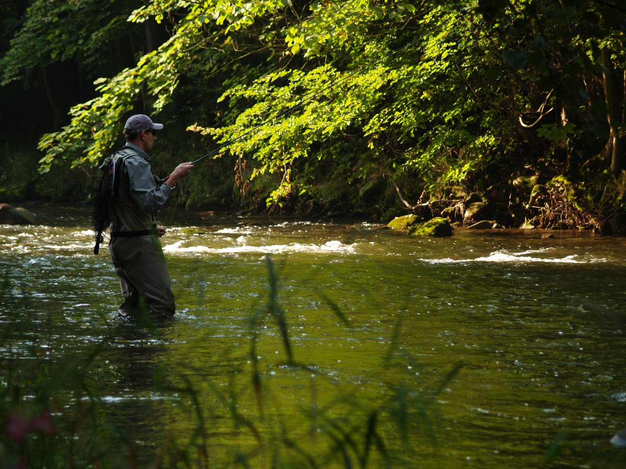 Divok� Orlice v okol� Pot�tejna