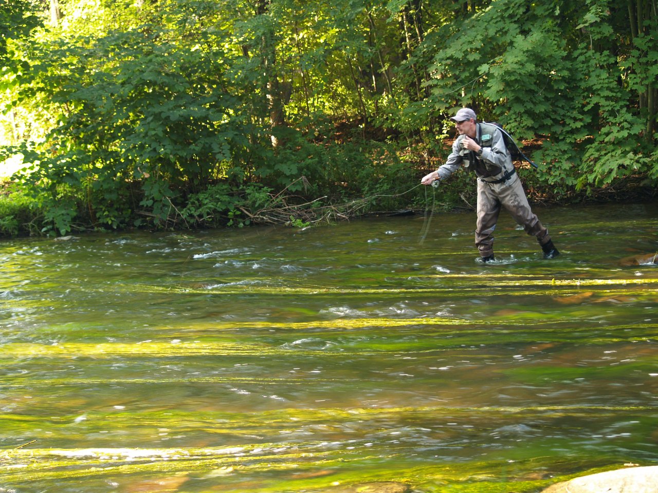 Divok� Orlice v okol� Pot�tejna