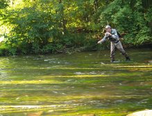 Divoká Orlice v okolí Potštejna