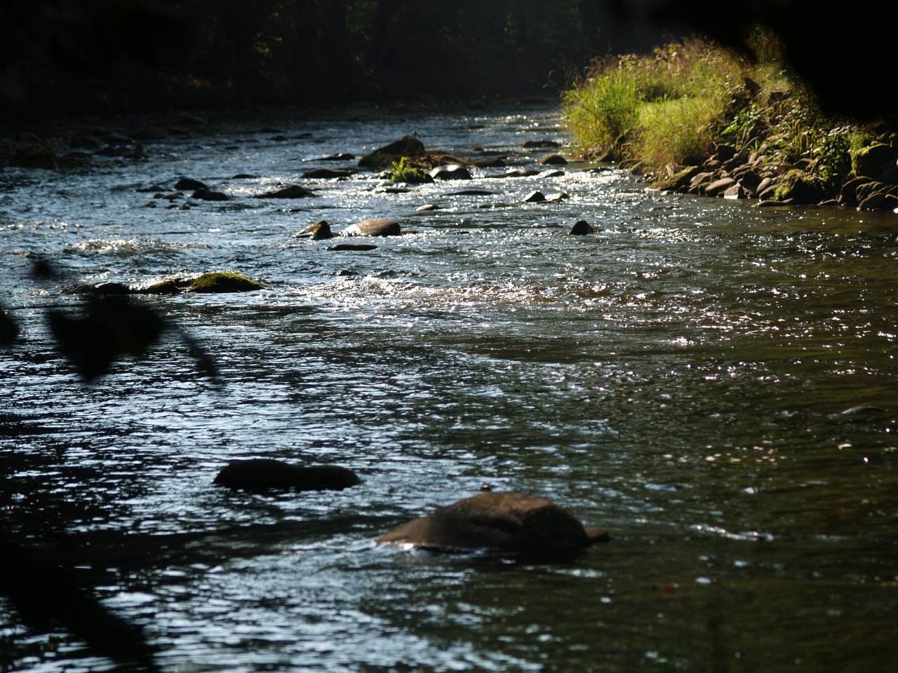 Divok� Orlice v okol� Pot�tejna