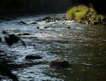 Divoká Orlice v okolí Potštejna