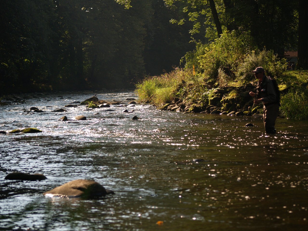 Divok� Orlice v okol� Pot�tejna