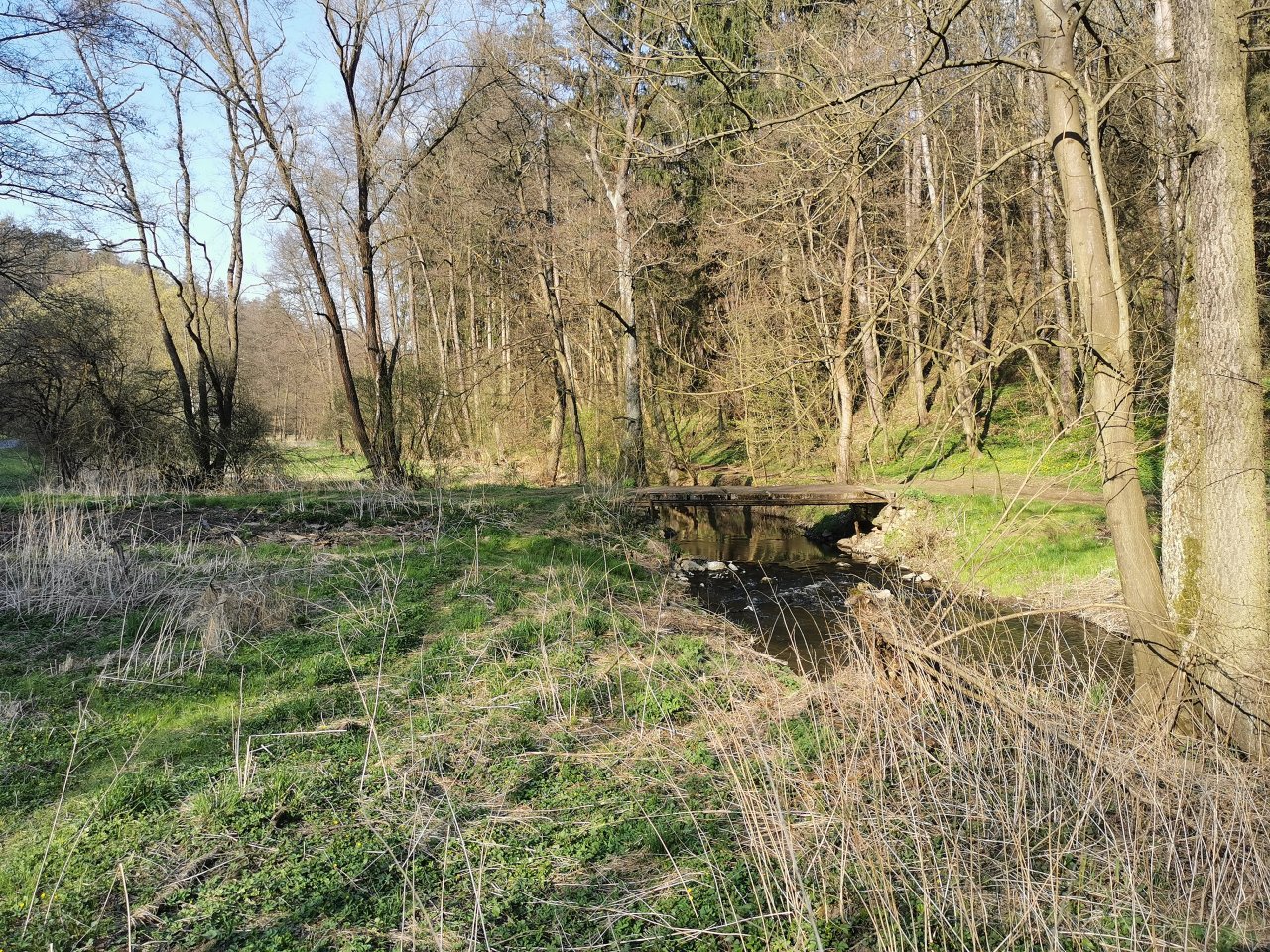 Ka��k pod Lod�nic�