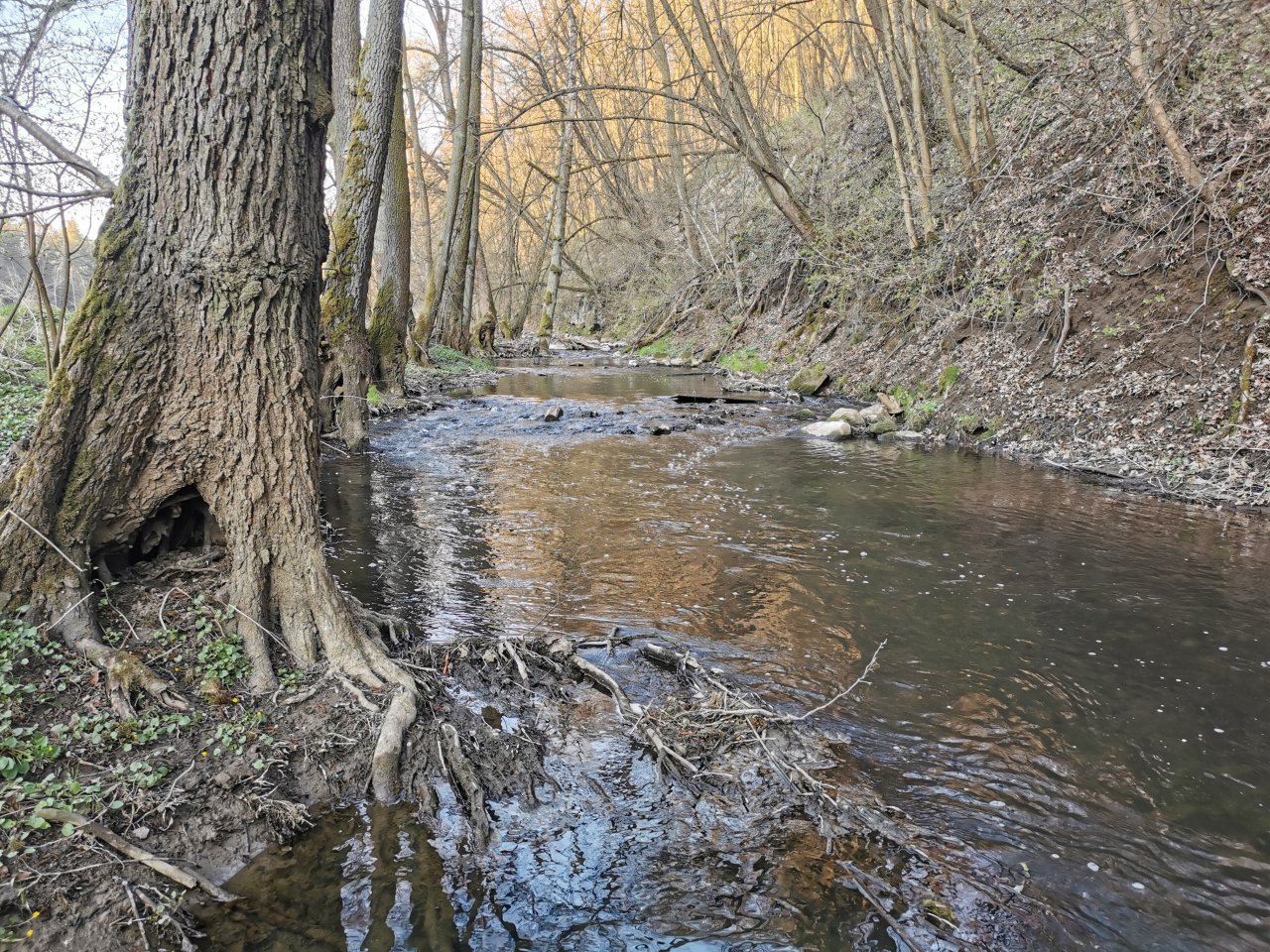 Ka��k pod Lod�nic�