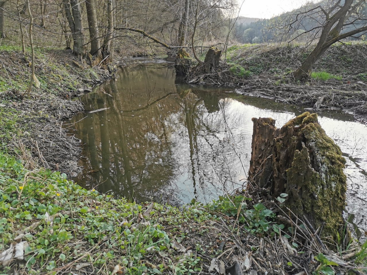 Ka��k pod Lod�nic�