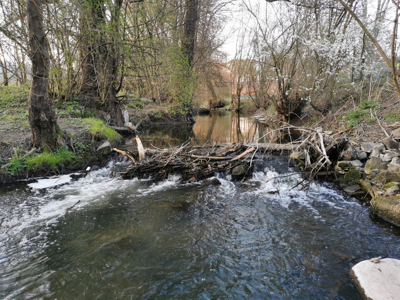 Ka��k pod Lod�nic�