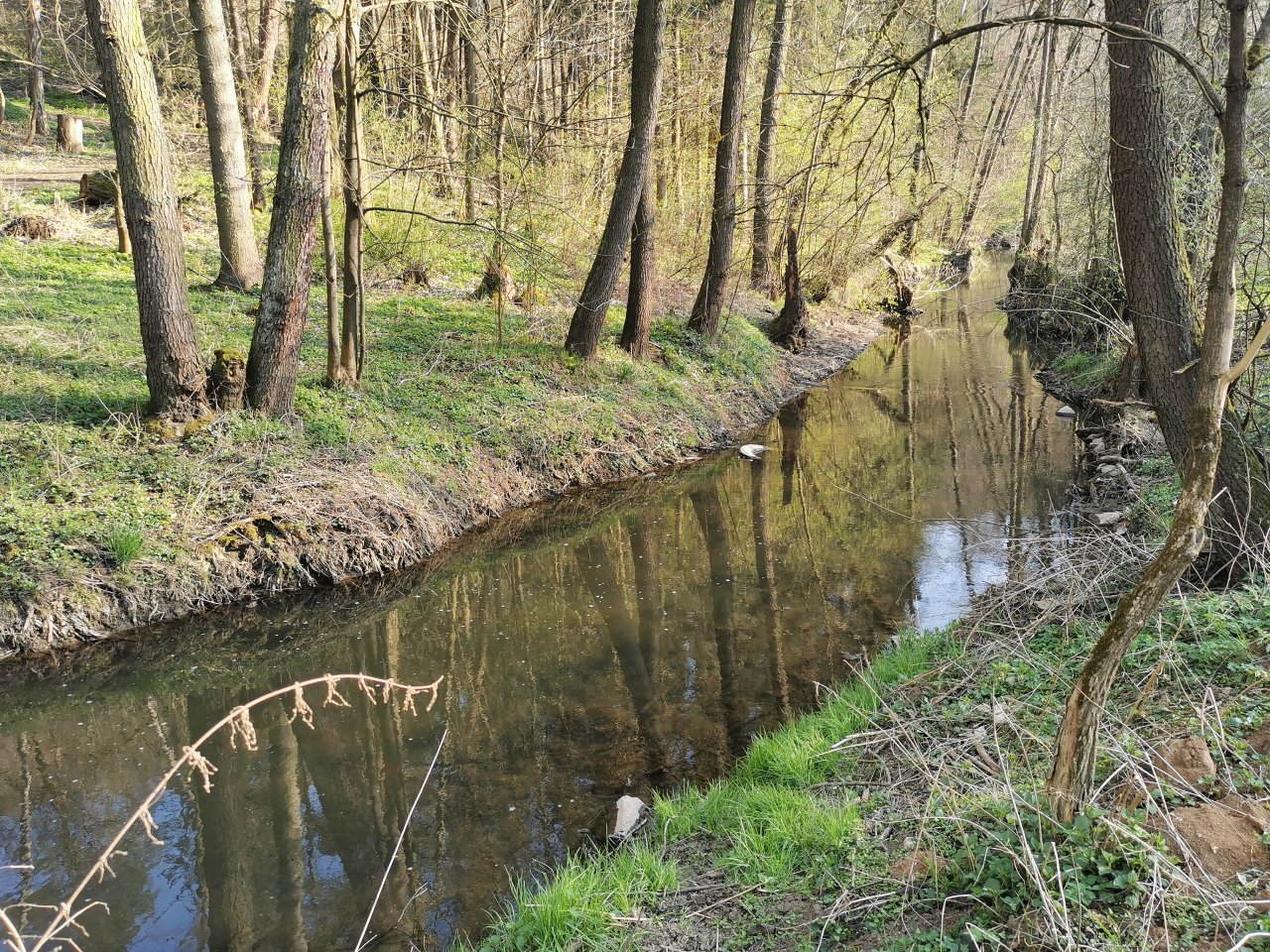 Ka��k pod Lod�nic�