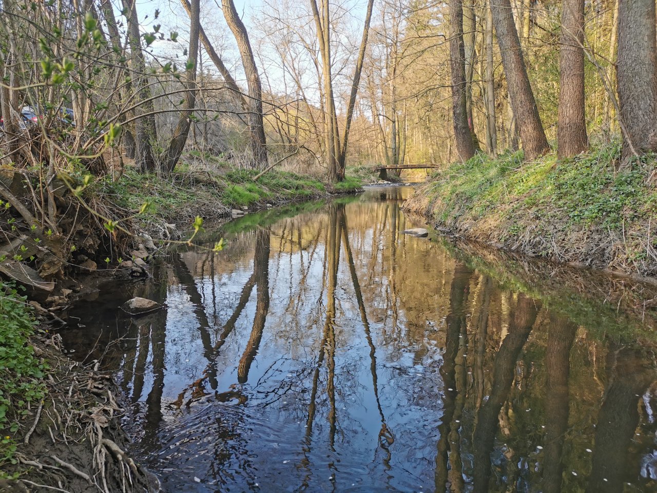 Ka��k pod Lod�nic�