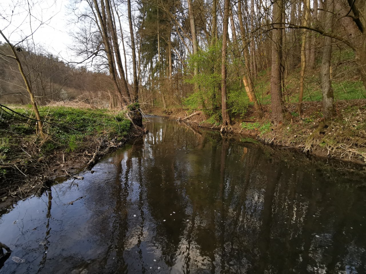 Ka��k pod Lod�nic�