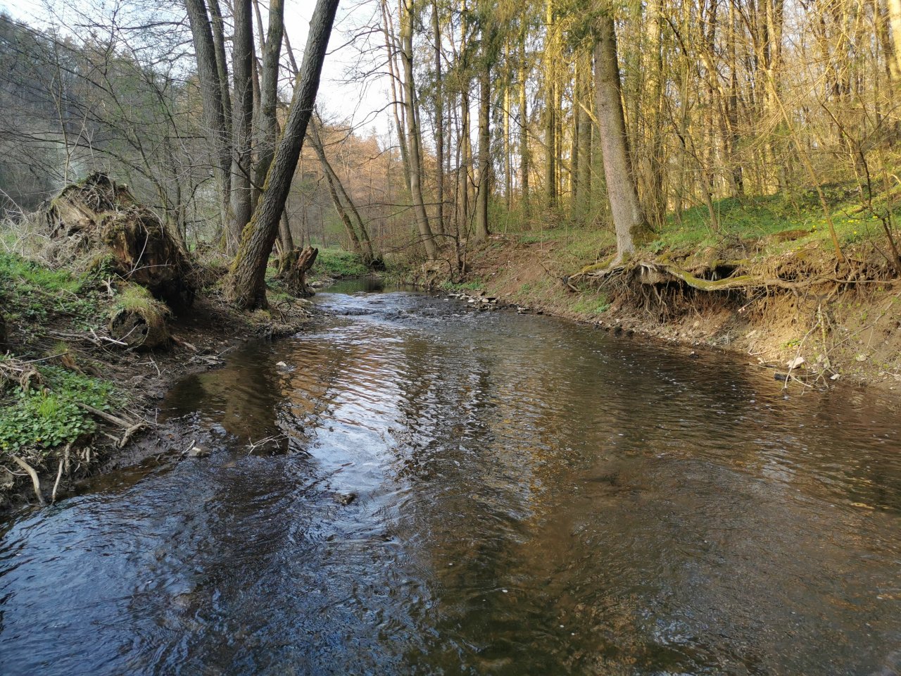 Ka��k pod Lod�nic�