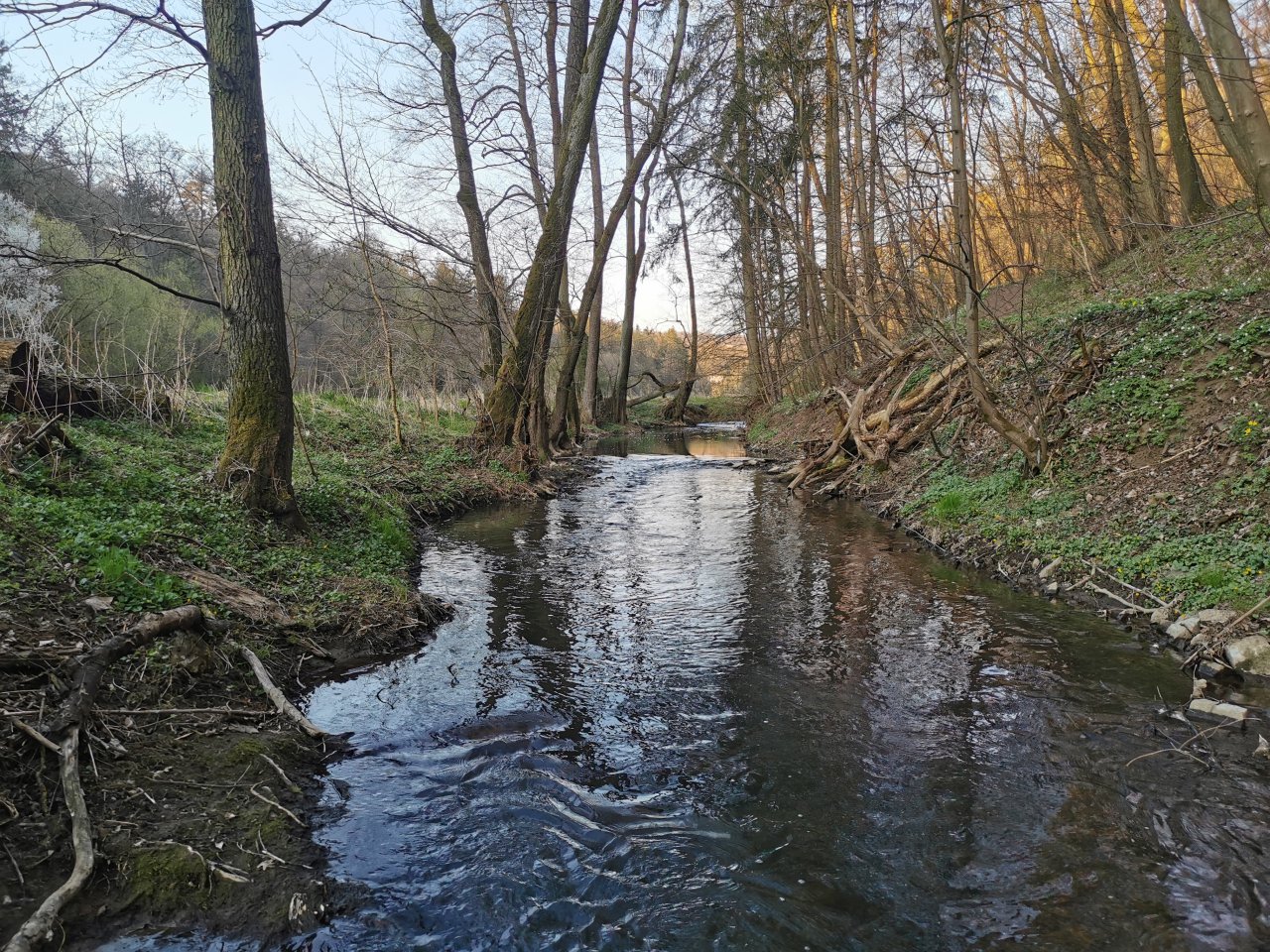 Ka��k pod Lod�nic�