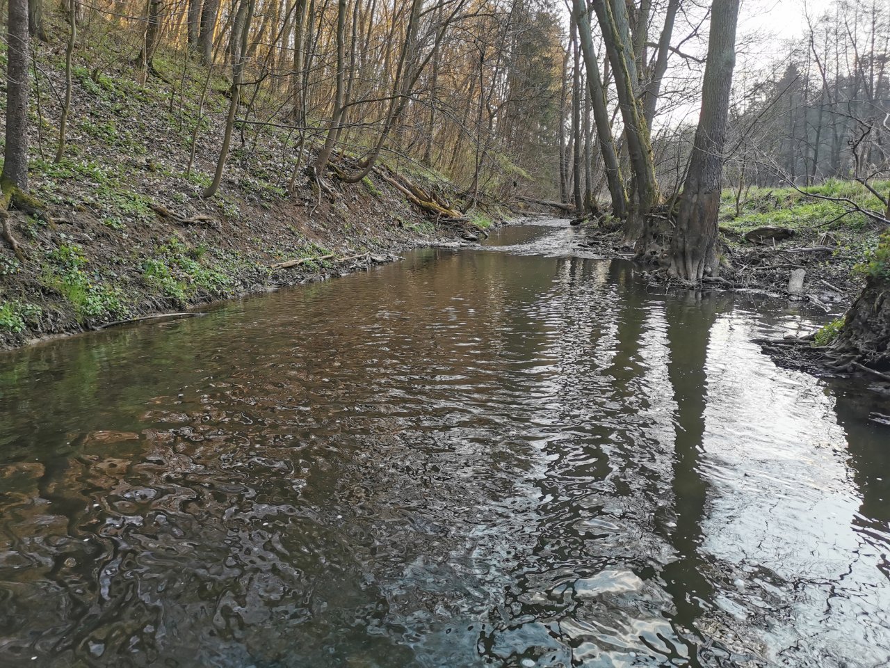 Ka��k pod Lod�nic�