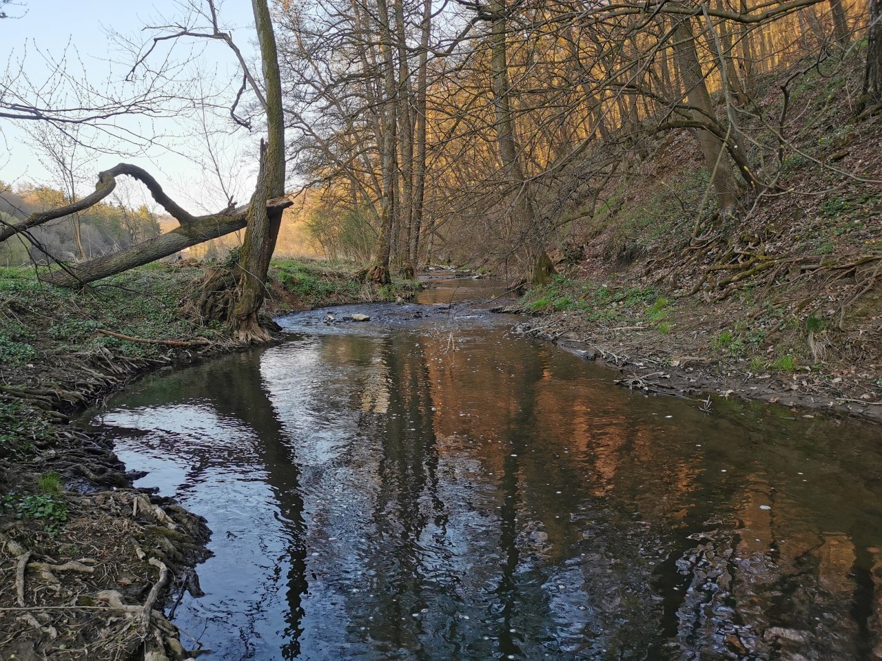 Ka��k pod Lod�nic�