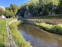 Teplá - muškaření v Karlových Varech