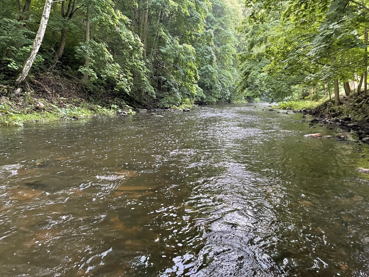 Tepl� - mu�ka�en� v Karlov�ch Varech