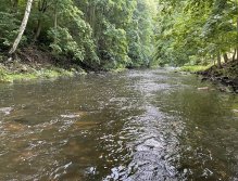 Teplá - muškaření v Karlových Varech