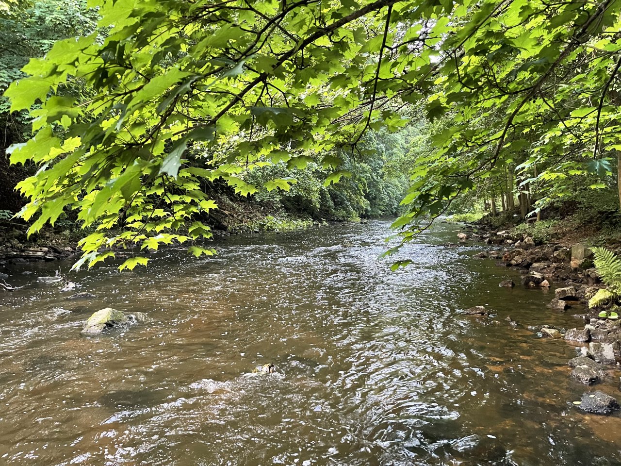 Tepl� - mu�ka�en� v Karlov�ch Varech