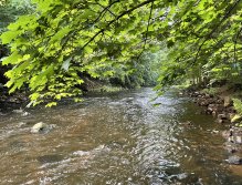 Teplá - muškaření v Karlových Varech