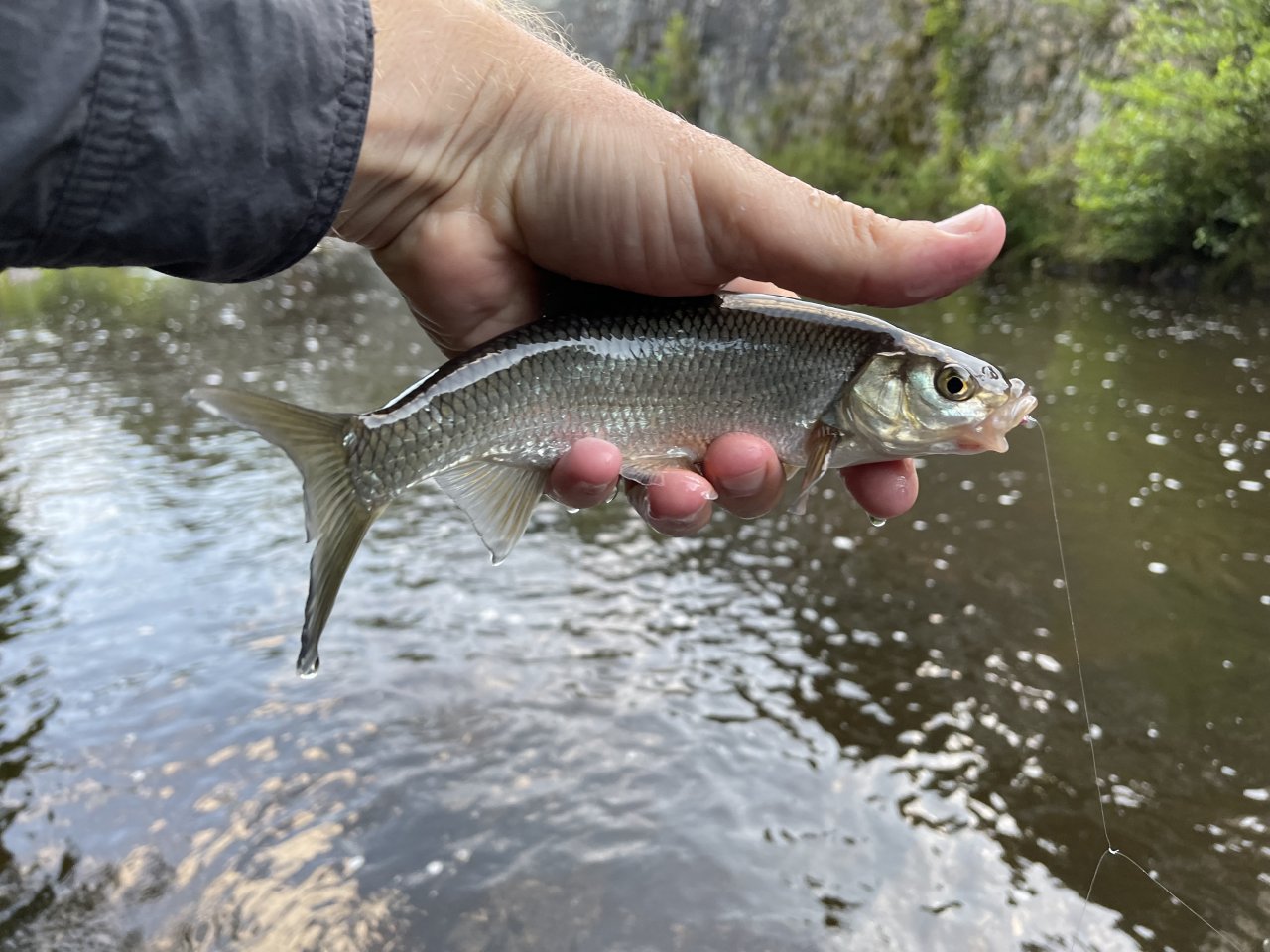 Tepl� - mu�ka�en� v Karlov�ch Varech