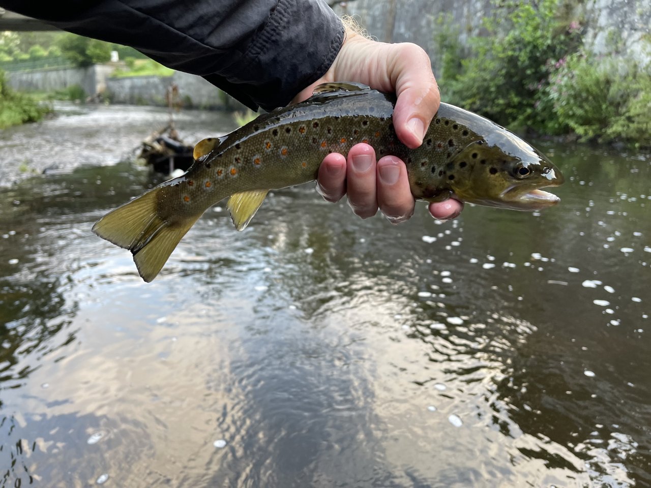 Tepl� - mu�ka�en� v Karlov�ch Varech