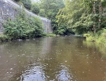 Teplá - muškaření v Karlových Varech