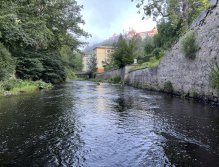 Teplá - muškaření v Karlových Varech