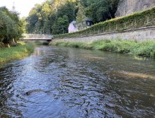 Teplá - muškaření v Karlových Varech