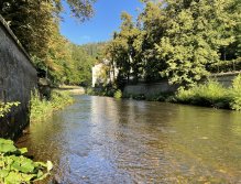 Teplá - muškaření v Karlových Varech