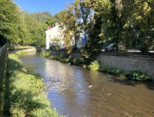 Teplá - muškaření v Karlových Varech