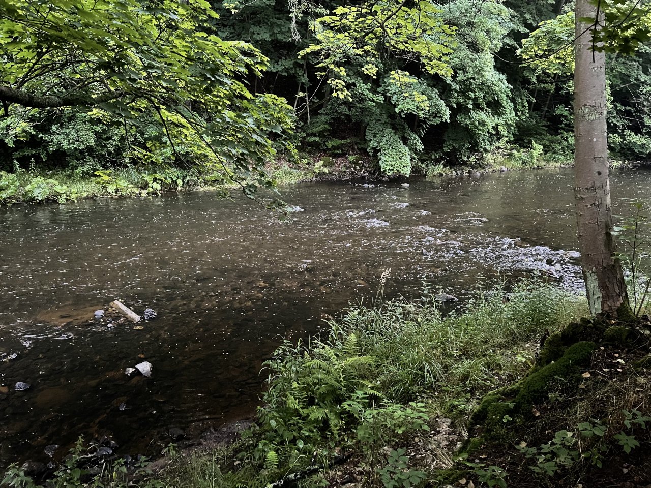 Tepl� - mu�ka�en� v Karlov�ch Varech