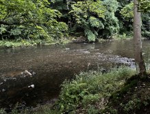 Teplá - muškaření v Karlových Varech