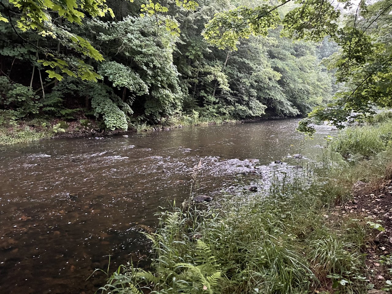 Tepl� - mu�ka�en� v Karlov�ch Varech