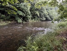 Teplá - muškaření v Karlových Varech