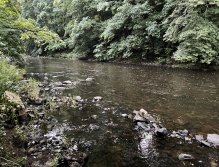 Teplá - muškaření v Karlových Varech