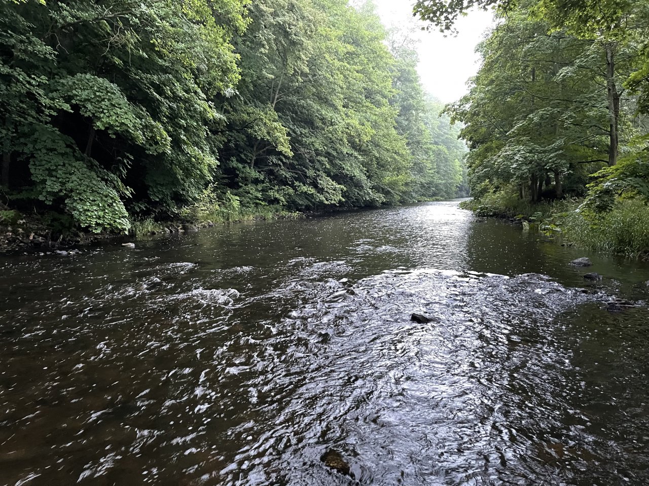 Tepl� - mu�ka�en� v Karlov�ch Varech