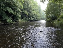 Teplá - muškaření v Karlových Varech