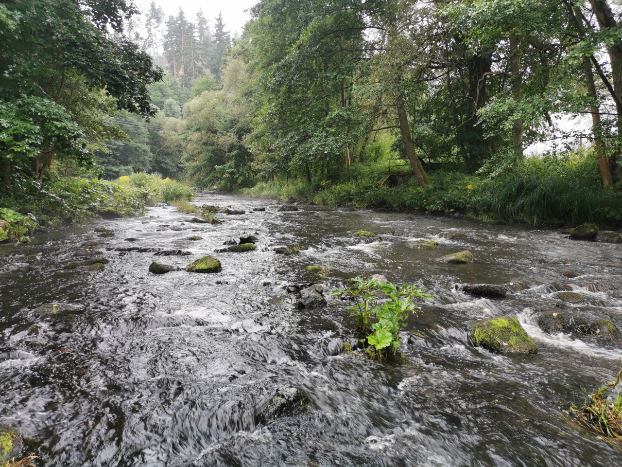 Tepl� v B�ezov�