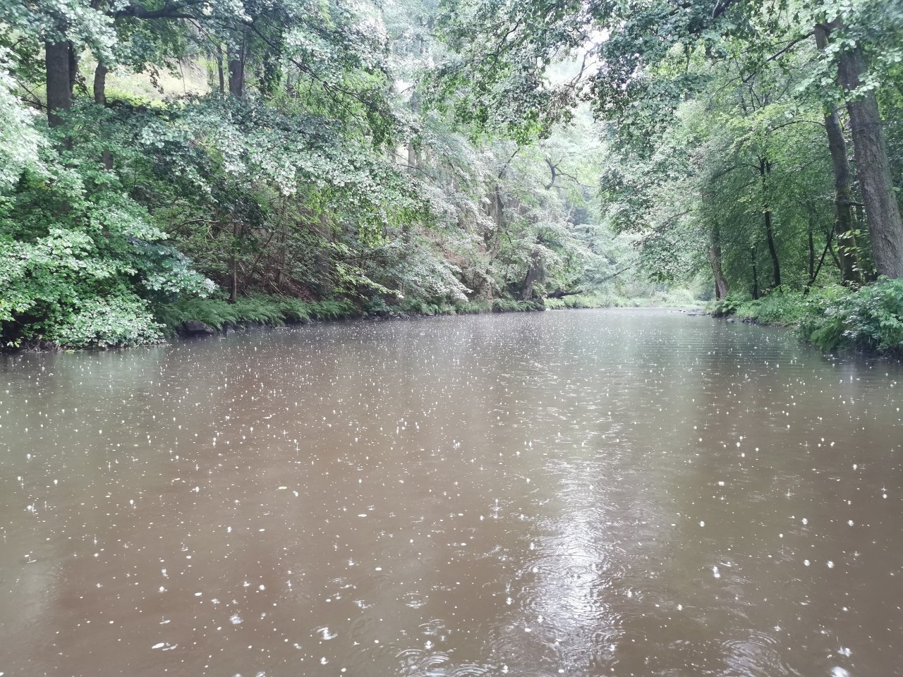 Tepl� v B�ezov�