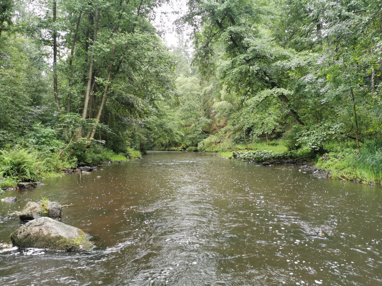 Tepl� v B�ezov�