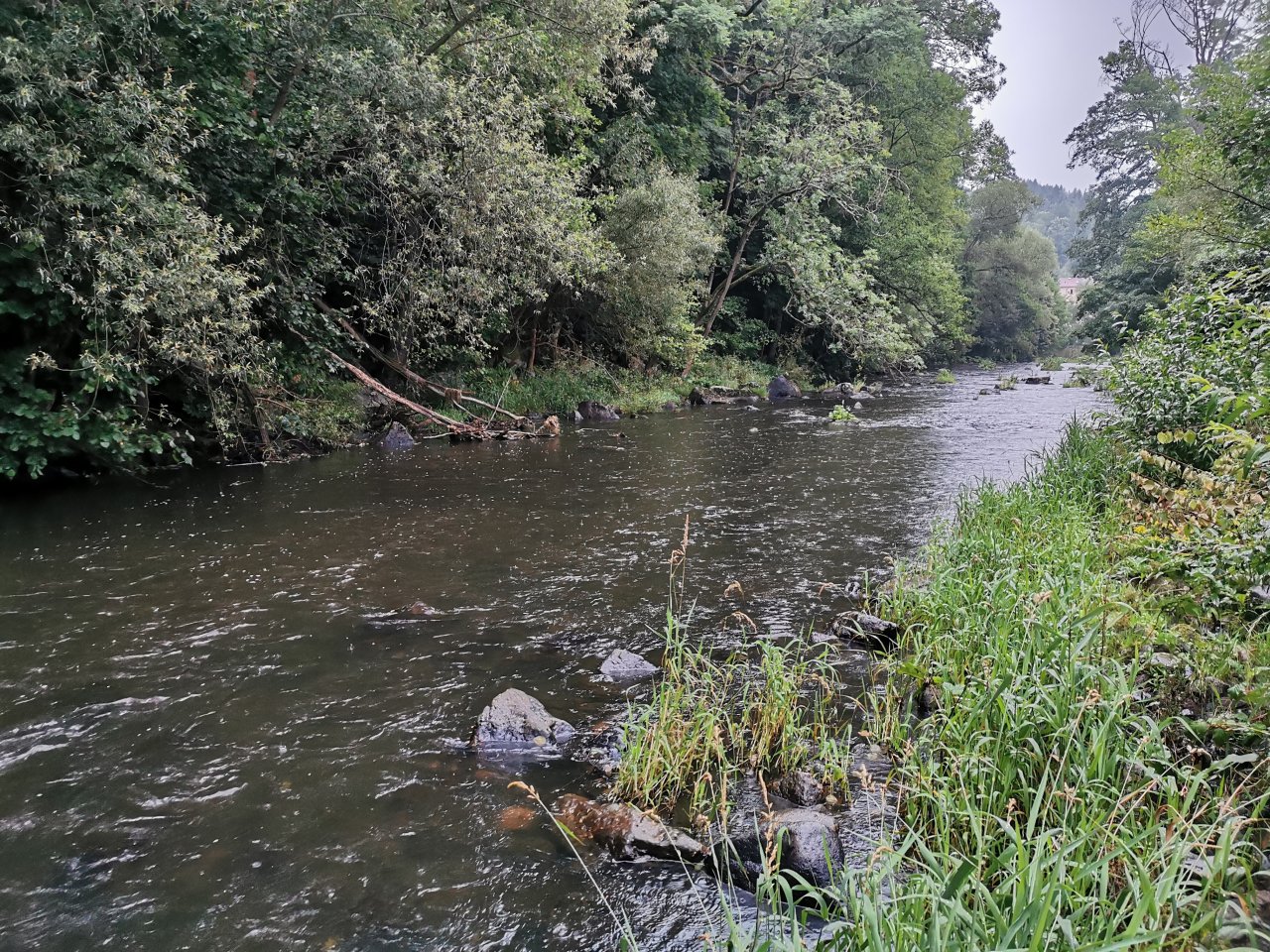 Tepl� v B�ezov�