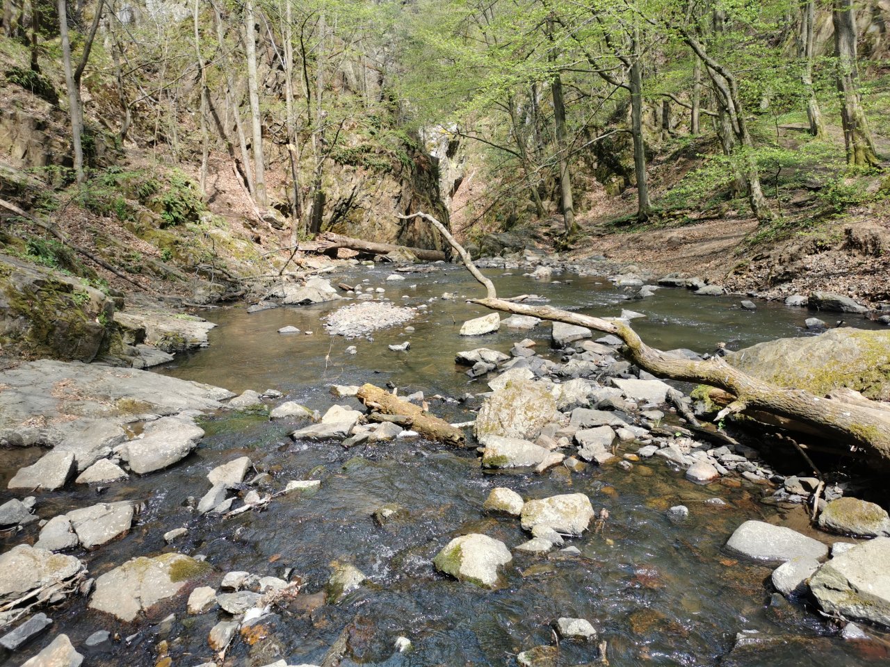 Zbiro�sk� potok u Skryjsk�ch jez�rek