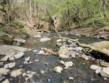 Zbirožský potok u Skryjských jezírek