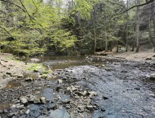 Zbirožský potok u Skryjských jezírek