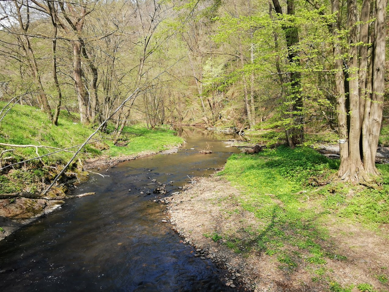 Zbiro�sk� potok u Skryjsk�ch jez�rek