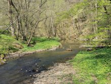 Zbirožský potok u Skryjských jezírek